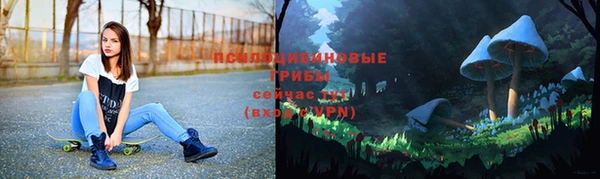 а пвп мука Аркадак