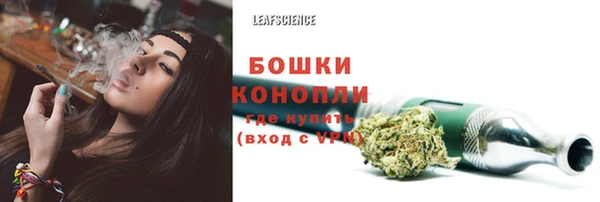 амф Арсеньев