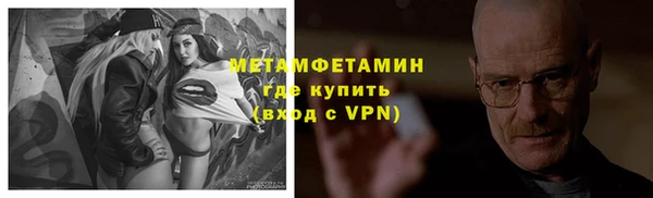 прущие грибы Мегион