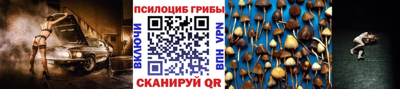 закладка  Новая Ляля  Псилоцибиновые грибы Psilocybe 